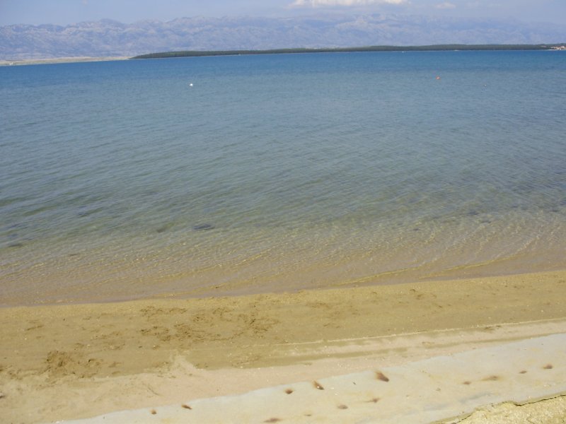 photo11.jpg